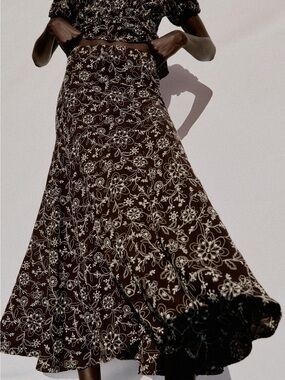 Zara Brown Embroidered Midi Skirt